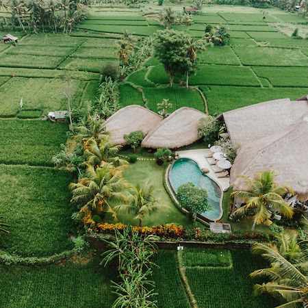 Villa Omah Padi Ubud Екстер'єр фото