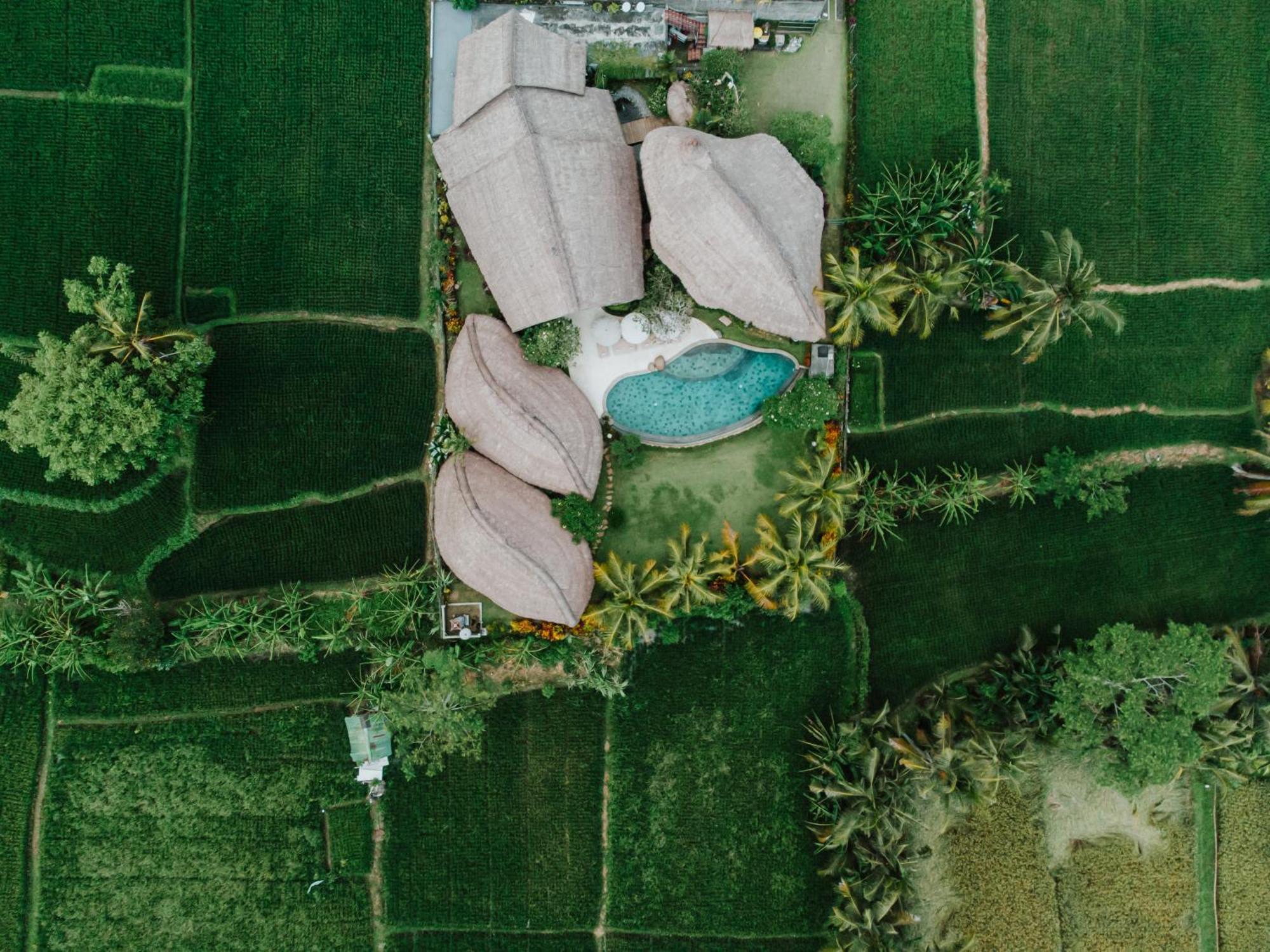 Villa Omah Padi Ubud Екстер'єр фото